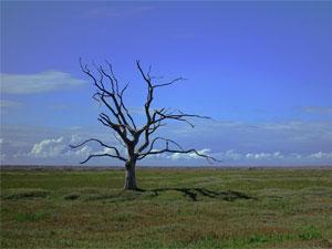 地球温暖化を食い止める！期限は2030年